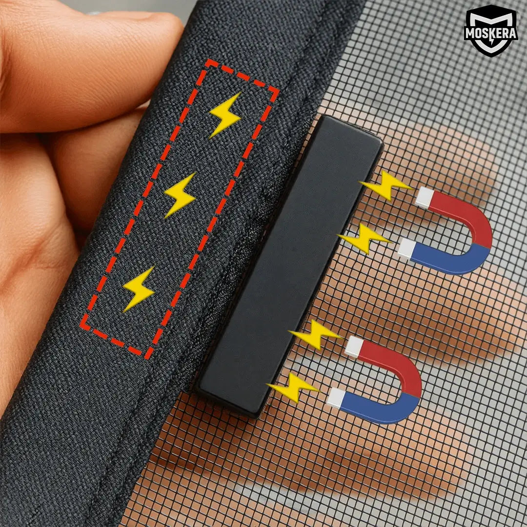 Reinforced magnets diagram Image